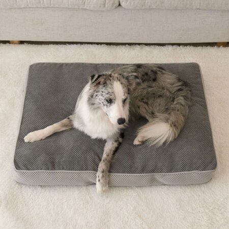 Pet Acce. - Pet Beds