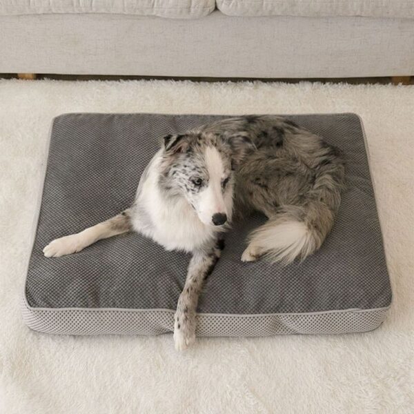 Pet Acce. - Pet Beds