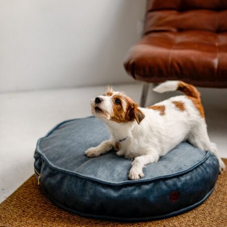 Pet Acce. - Pet Beds