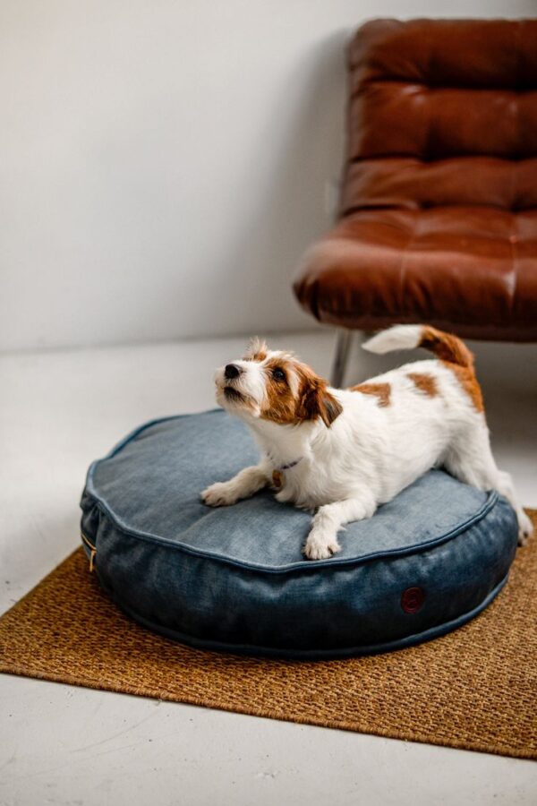 Pet Acce. - Pet Beds